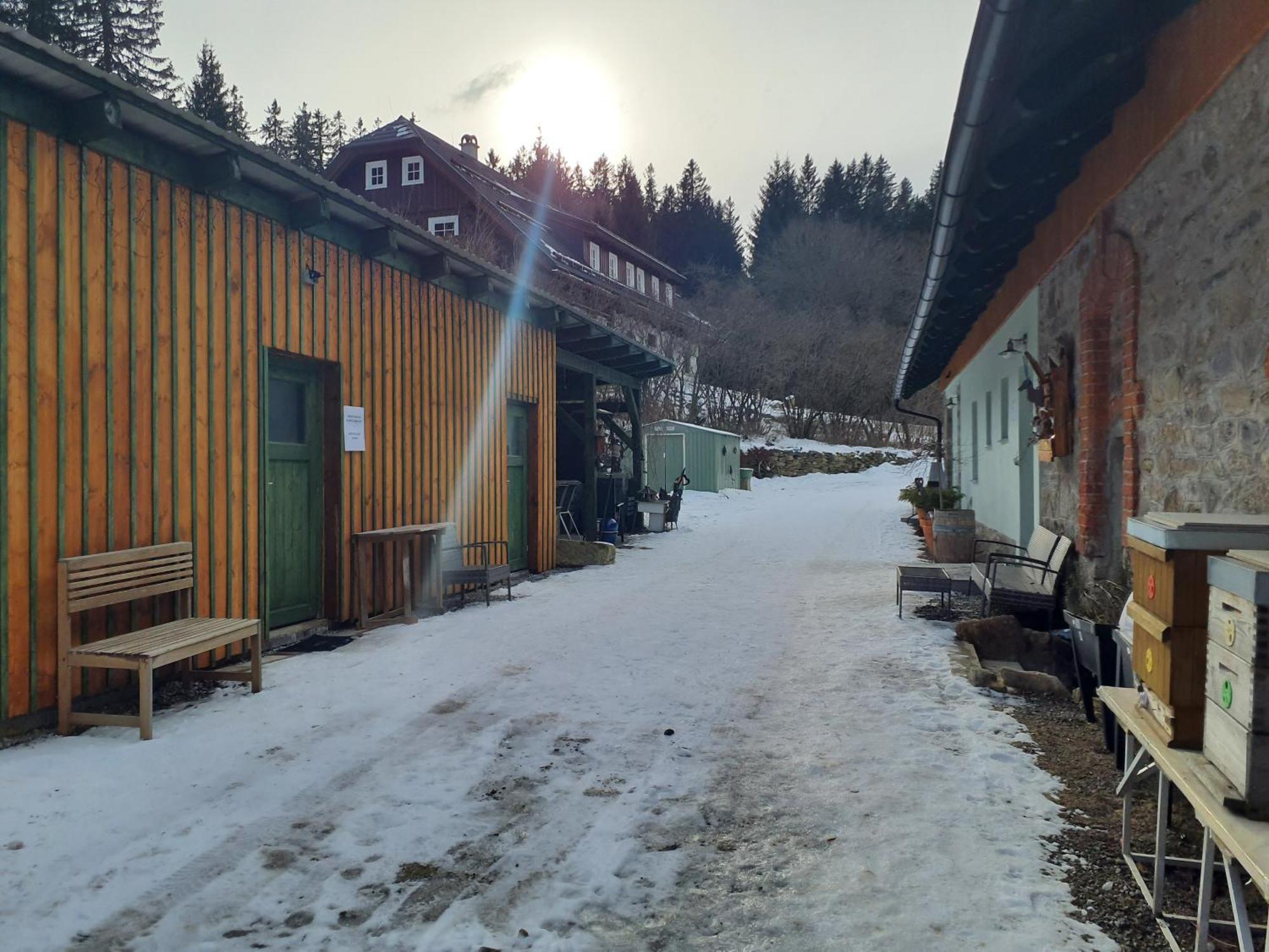 Apartamento Steinhaus / Kamenny Dum Zdíkov Exterior foto